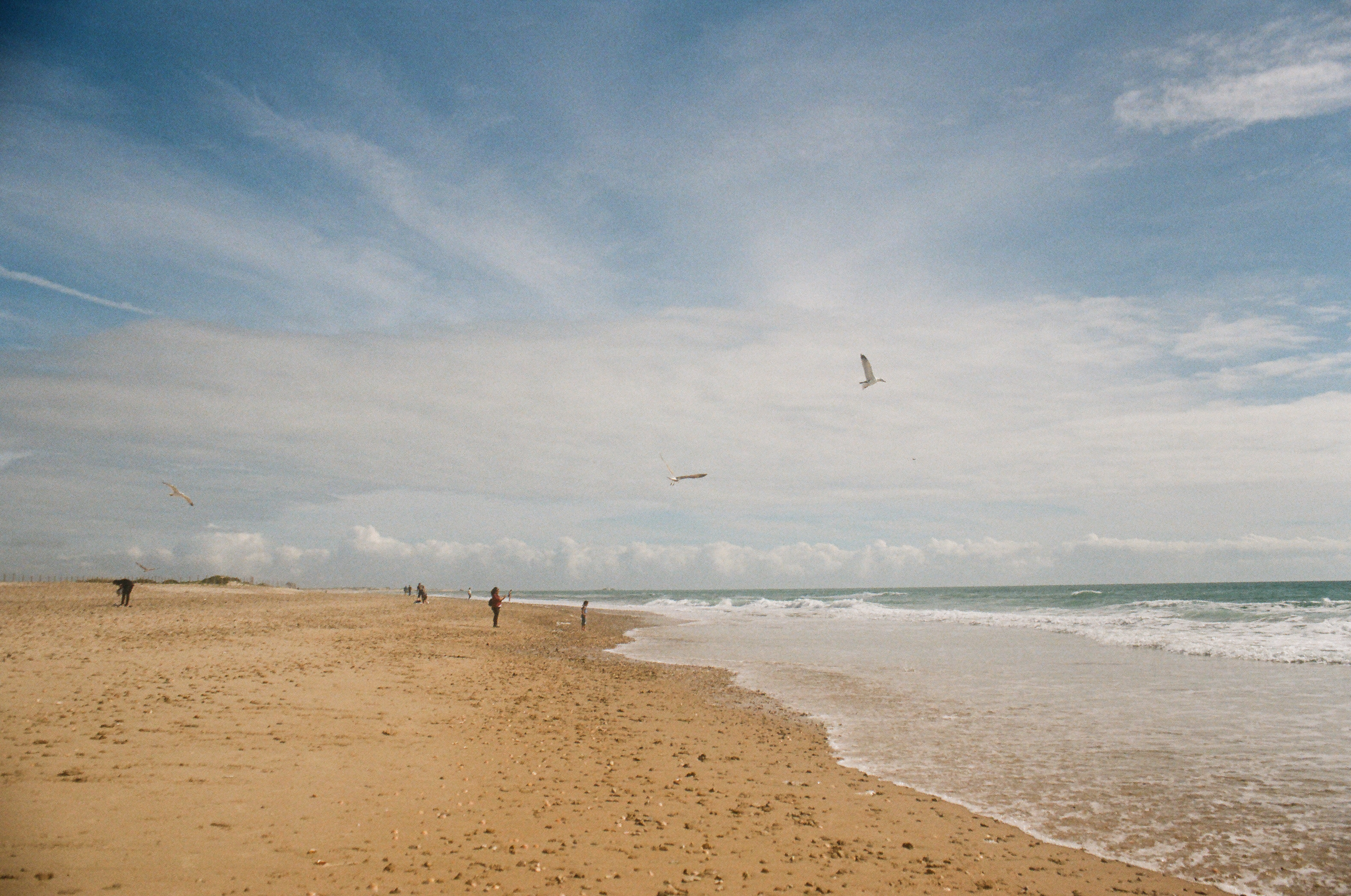 color-film - 25.JPG